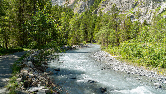 Fluss im Sommer zwischen Felsen und Wälder