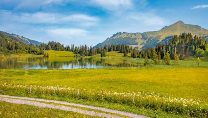 Berglandschaft mit See vor grosser Wiese im Sommer