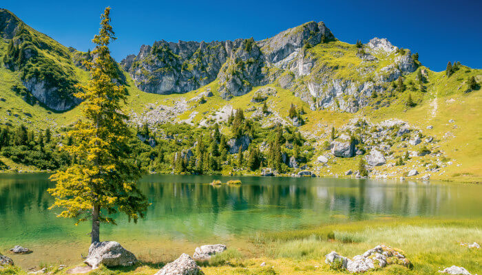 Bergsee in den Alpen im Sommer bei Sonnenschein
