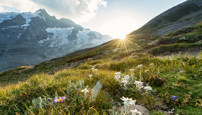 Sonnenuntergang im Sommer in Berglandschaft