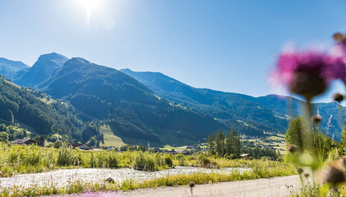 Strasse in Berglandschaft im Sommer