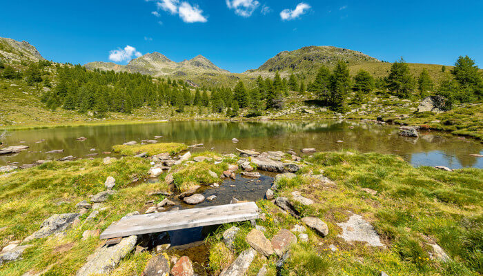 Bergsee in den Bergen im Sommer vor Tannen