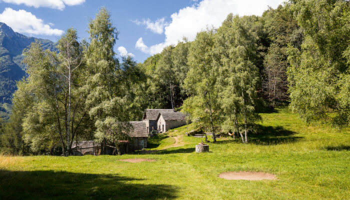 Wiese vor Bäumen und einem Haus in den Bergern
