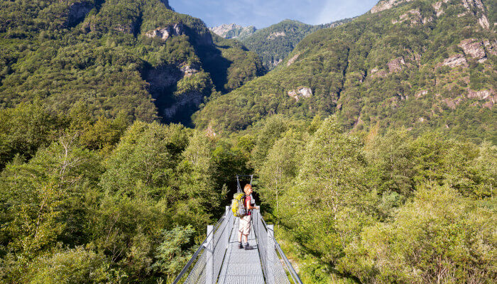 Brücke über Wälder im Sommer mit Wanderin