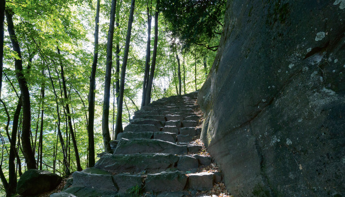 Naturtreppen in den Bergen im Wald