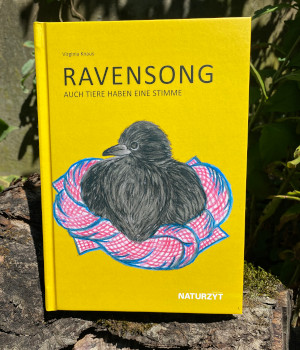 Cover des Buch Ravensongs aufgenommen im Garten mit Sonnenlicht