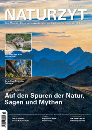 Cover September 2013 mit Bergen im Herbst des NATURZYT Magazin mit Verlinkung auf Yumpu