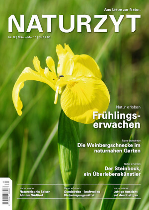 Cover März 2016 mit Orchidee des NATURZYT Magazin mit Verlinkung auf Yumpu