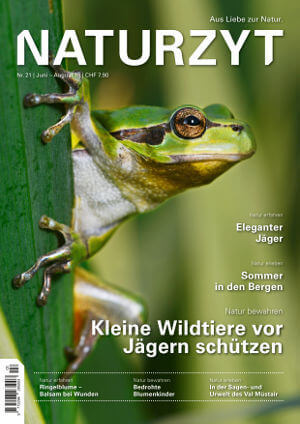 Cover Juni 2018 mit Frosch des NATURZYT Magazin mit Verlinkung auf Yumpu