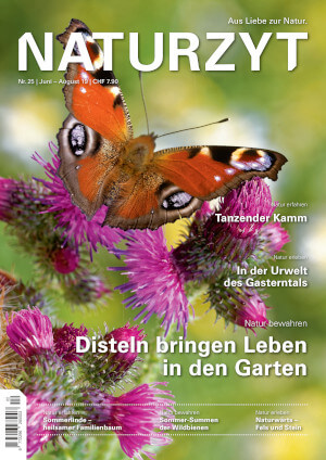 Cover Juni 2019 mit Disteln des NATURZYT Magazin mit Verlinkung auf Yumpu