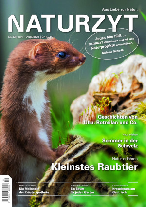 Cover Juni 2021 Mauswiesel des NATURZYT Magazin mit Verlinkung auf Yumpu
