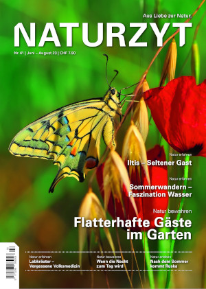Cover Juni 2023 Schmetterling des NATURZYT Magazin mit Verlinkung auf Yumpu