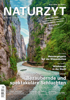 Cover Juni 2024 Schluchten des NATURZYT Magazin mit Verlinkung auf Yumpu
