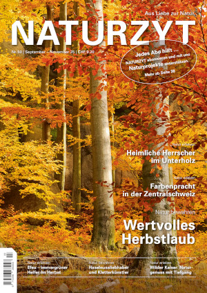 Cover Juni des NATURZYT Magazin mit Verlinkung auf Yumpu