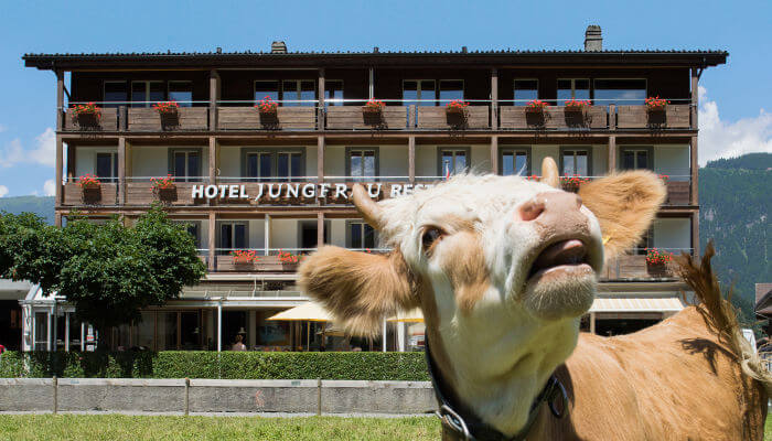 Jungfrau Hotel Wilderswil